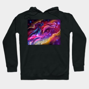 Swimming Through Space Hoodie